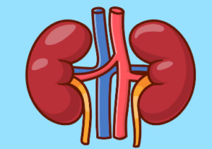 Best Urology Hospital in Ghaziabad